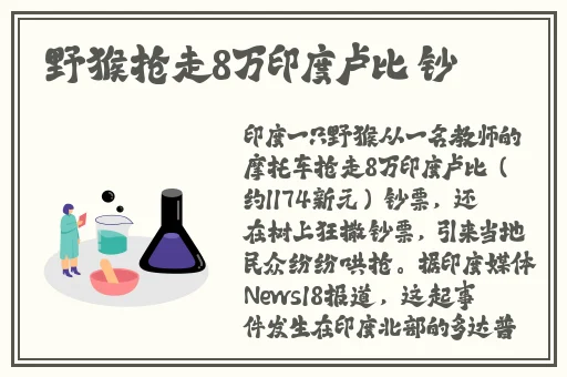 精品一卡2卡3卡4卡新区在线